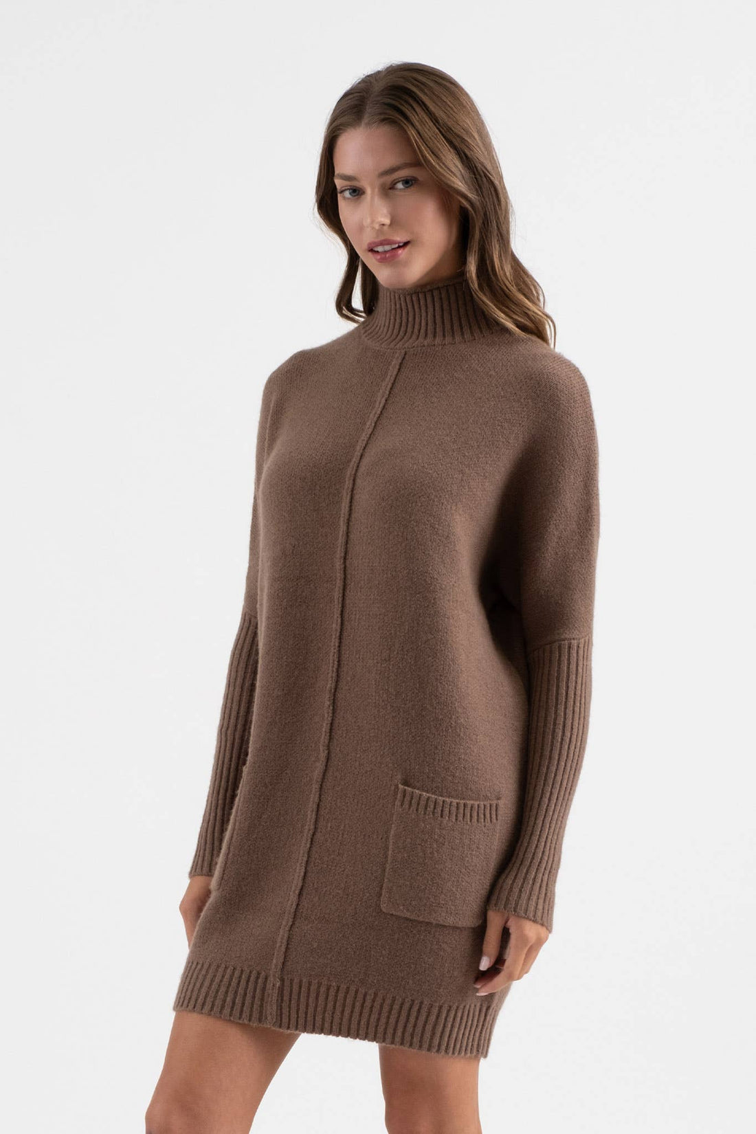 Front Seam Sweater Dress